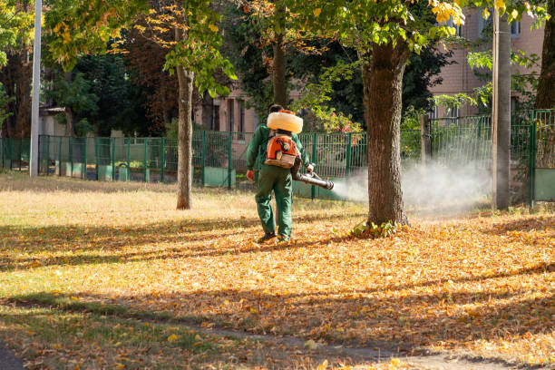 Best Residential Pest Control  in Providence Village, TX